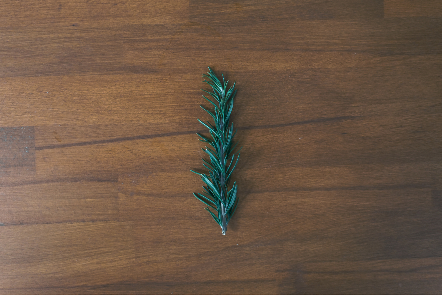 Focaccia + Romero regalo